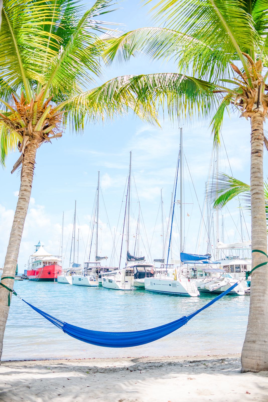 Blue hammock between palm trees with marina view