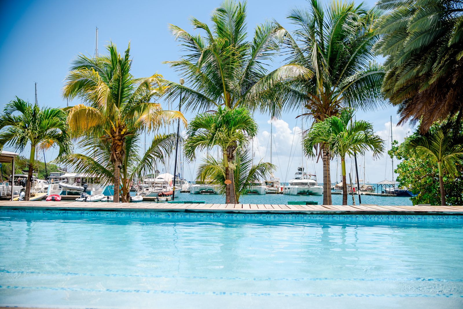 Pool and marina view